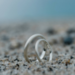 オーダーメイドマリッジリング　砂の上　屋久島の海バック　シルバー　屋久島でつくる結婚指輪
