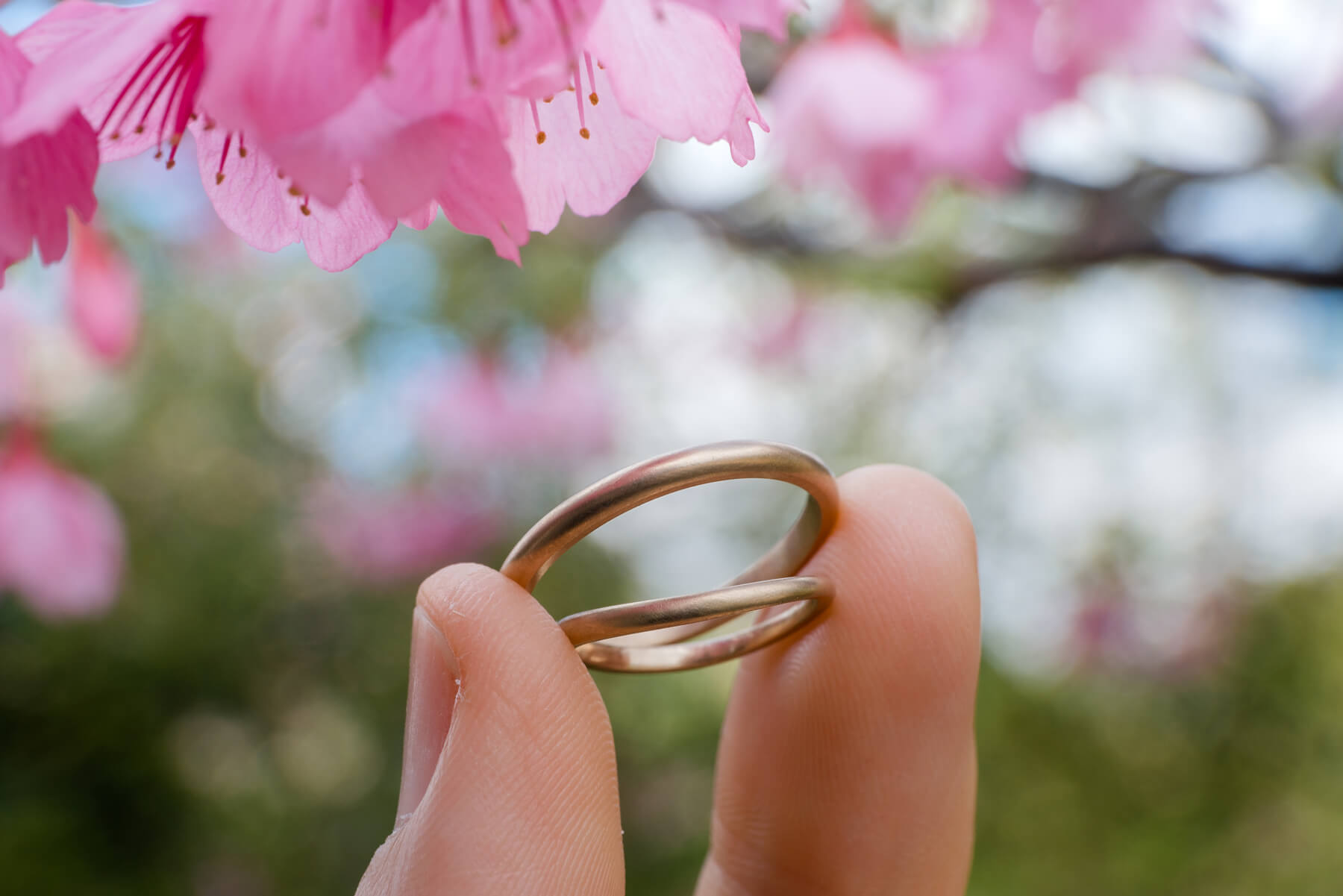 屋久島の桜の下　オーダーメイドマリッジリング　　ゴールド、ダイヤモンド、プラチナ　屋久島でつくる結婚指輪　