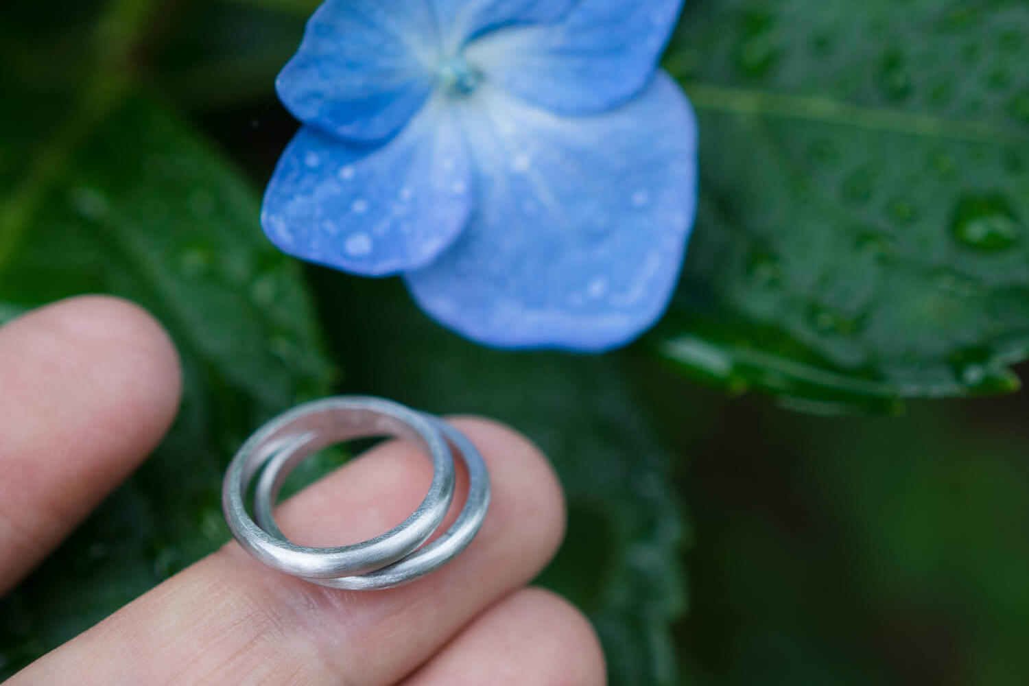 屋久島の屋久島の紫陽花　プラチナリングを手に　屋久島花とジュエリー　オーダーメイドマリッジリングのモチーフ　屋久島でつくる結婚指輪