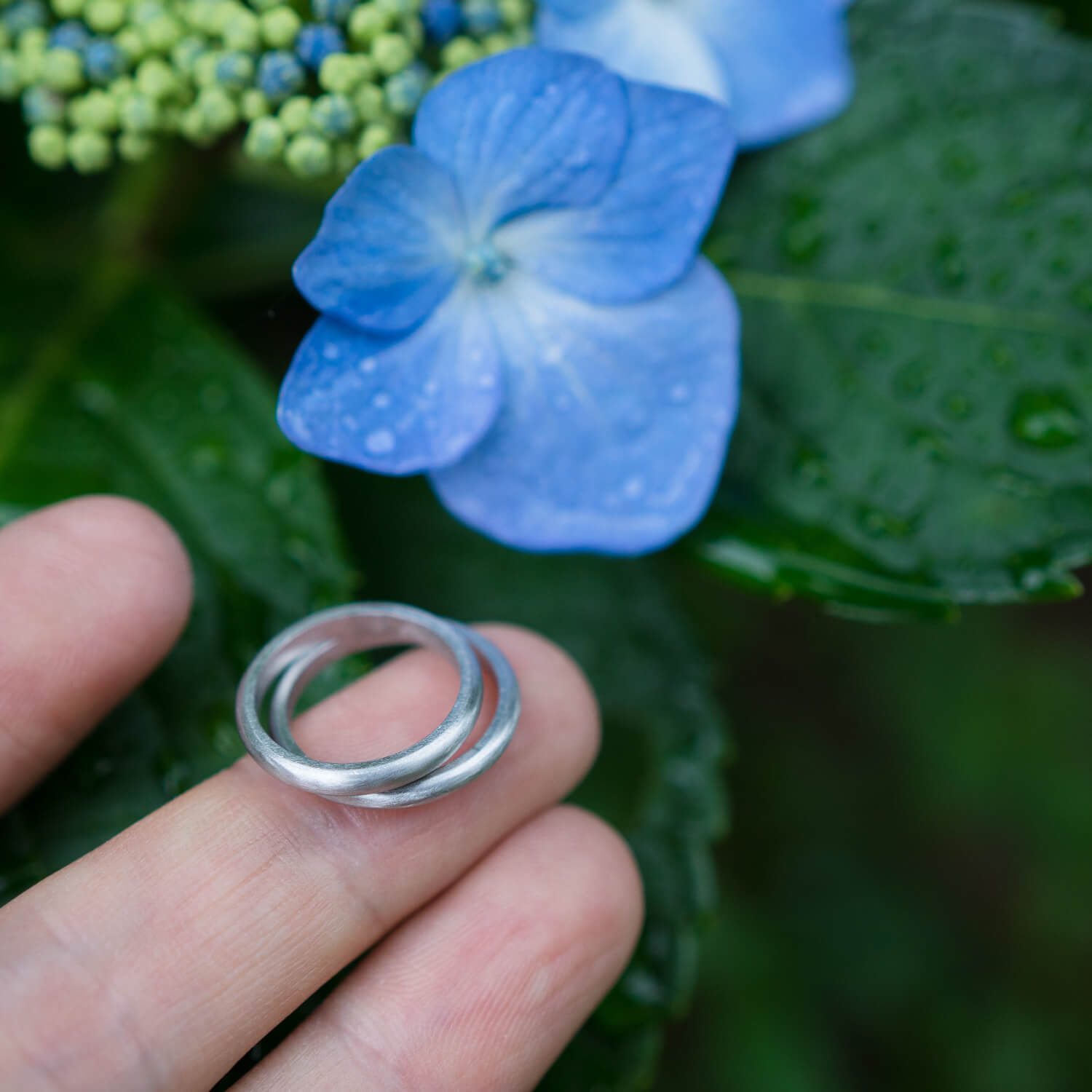 屋久島の屋久島の紫陽花　プラチナリングを手に　屋久島花とジュエリー　オーダーメイドマリッジリングのモチーフ　屋久島でつくる結婚指輪