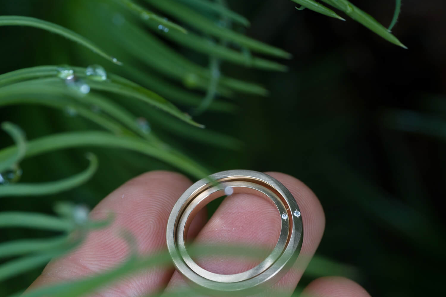 オーダーメイドマリッジリング　屋久島ジュエリーのアトリエの庭　屋久島の雨バック　ゴールド、ダイヤモンド　屋久島でつくる結婚指輪