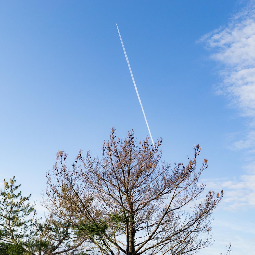 屋久島の空と飛行機雲