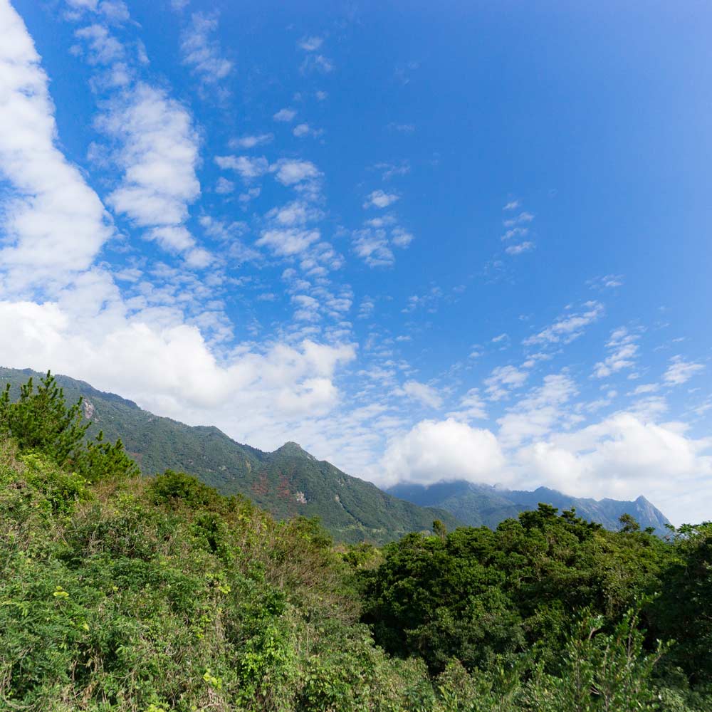 屋久島の山々、空