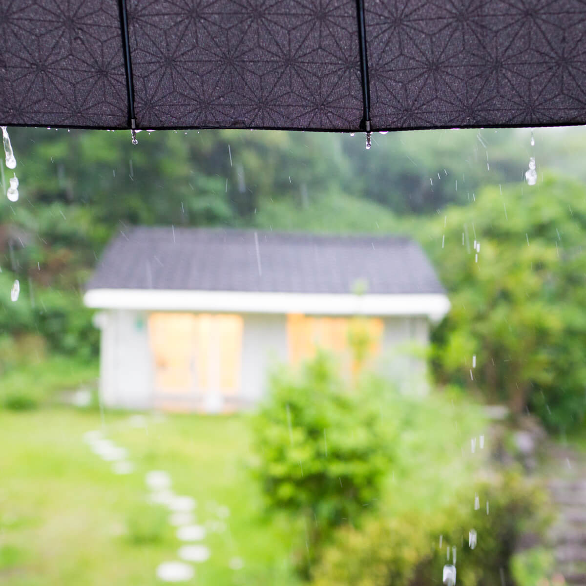 雨のリズム、しずくの指輪！  今日も屋久島にありがとう。