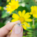 屋久島のツワブキと　お花の指輪　イエローサファイア、プラチナ、ゴールド　屋久島でつくる婚約指輪