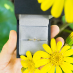 ケースの中、オーダーメイドエンゲージリング　お花の婚約指輪　ゴールド、プラチナ　屋久島のツワブキモチーフ　屋久島で作る婚約指輪