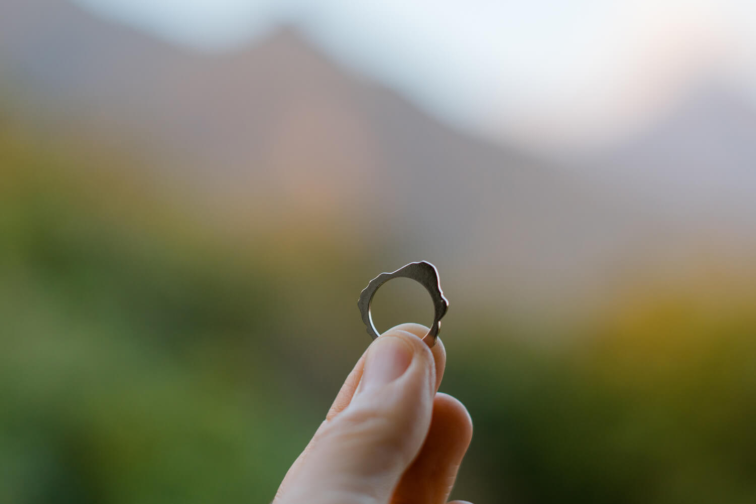 オーダーメイドエンゲージリング　ジュエリーのアトリエ　屋久島の緑バック　シャンパンゴールド　屋久島でつくる結婚指輪