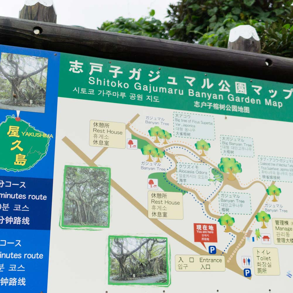 屋久島　ガジュマル公園ガイドマップ